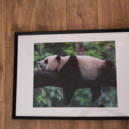 A 4 Min Du Zoo De Beauval La Maison A Partager Ch2 1Er Etage Saint-Aignan  Buitenkant foto