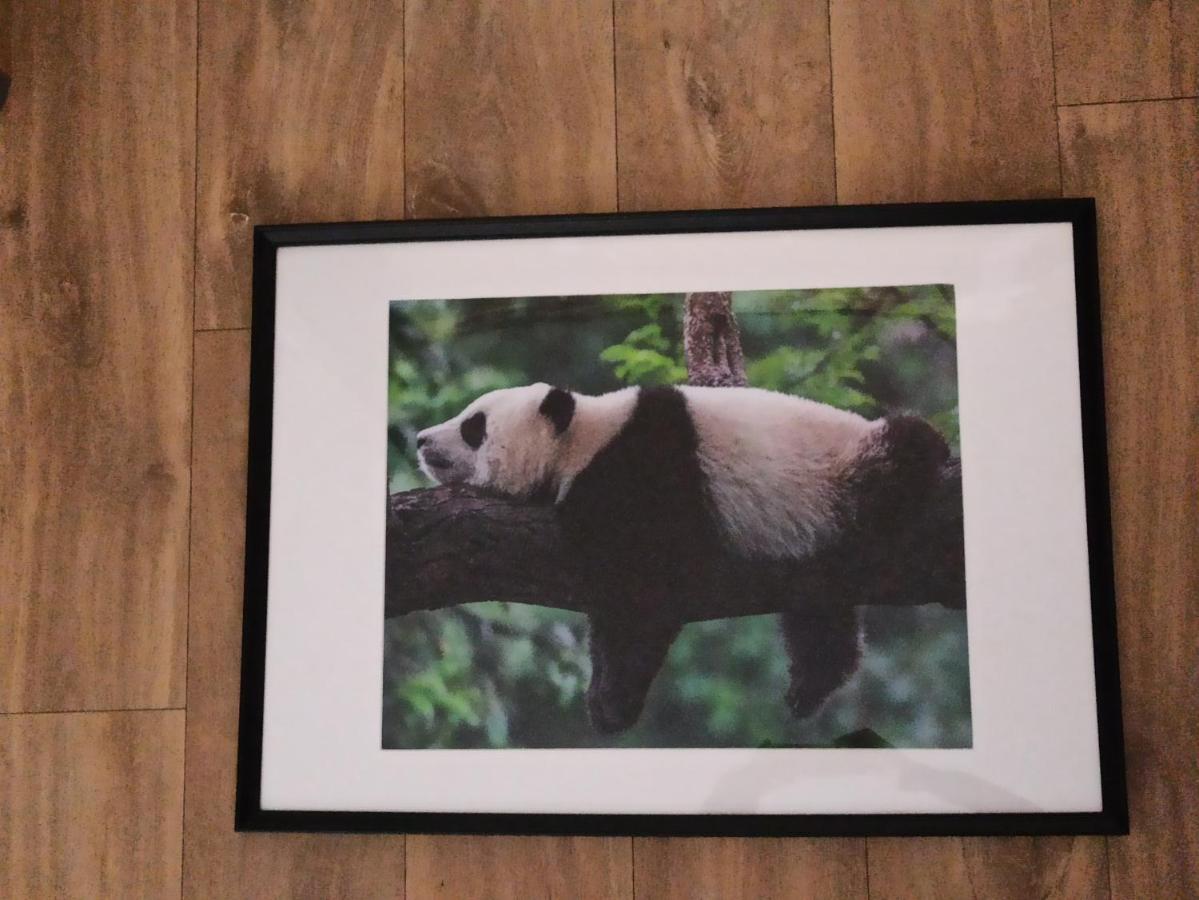A 4 Min Du Zoo De Beauval La Maison A Partager Ch2 1Er Etage Saint-Aignan  Buitenkant foto
