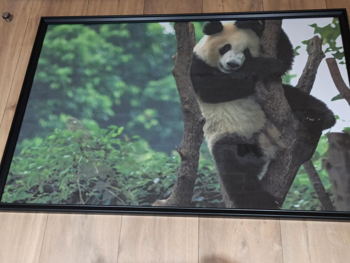 A 4 Min Du Zoo De Beauval La Maison A Partager Ch2 1Er Etage Saint-Aignan  Buitenkant foto